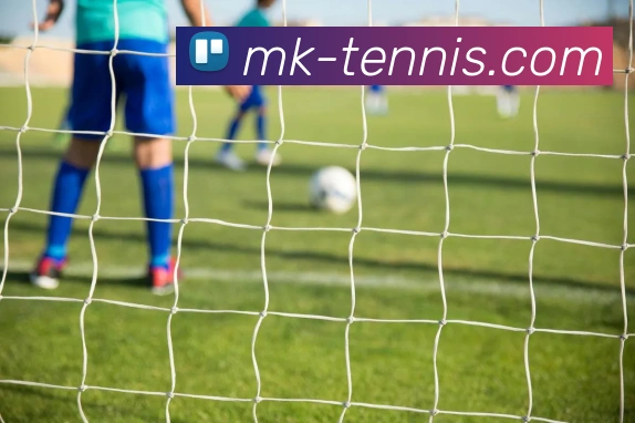 MK体育官网全面升级打造创新体育平台 引领行业发展新风向